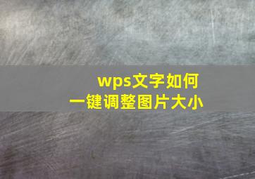 wps文字如何一键调整图片大小