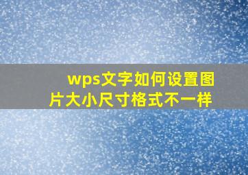 wps文字如何设置图片大小尺寸格式不一样