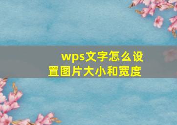 wps文字怎么设置图片大小和宽度