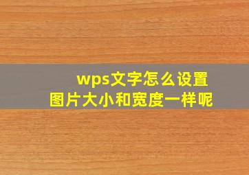 wps文字怎么设置图片大小和宽度一样呢