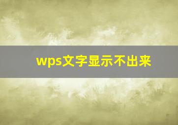 wps文字显示不出来