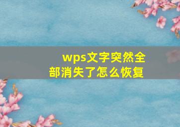 wps文字突然全部消失了怎么恢复