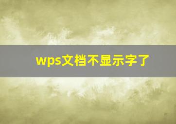 wps文档不显示字了