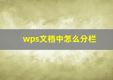 wps文档中怎么分栏