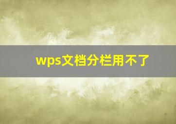 wps文档分栏用不了