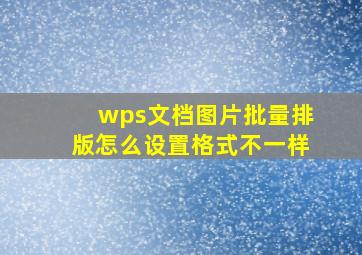 wps文档图片批量排版怎么设置格式不一样