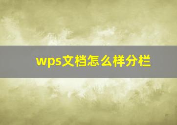 wps文档怎么样分栏