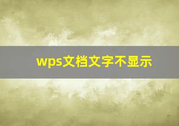 wps文档文字不显示