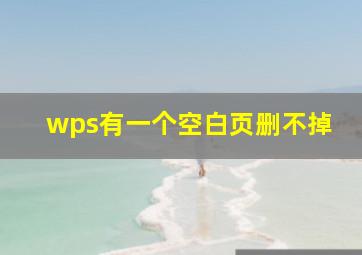 wps有一个空白页删不掉