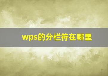 wps的分栏符在哪里