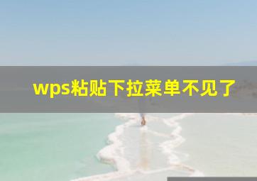 wps粘贴下拉菜单不见了