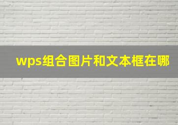 wps组合图片和文本框在哪