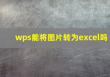 wps能将图片转为excel吗