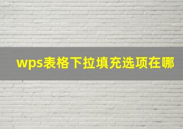 wps表格下拉填充选项在哪