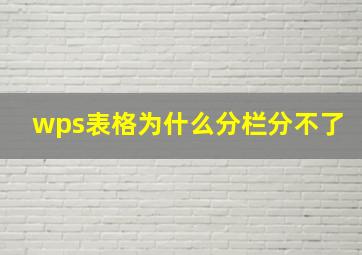 wps表格为什么分栏分不了