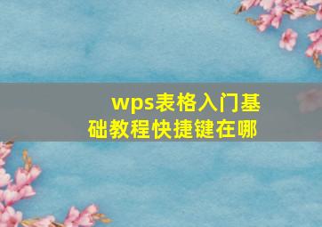 wps表格入门基础教程快捷键在哪