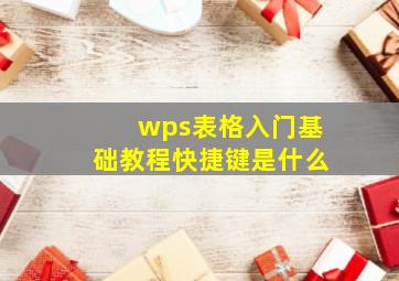 wps表格入门基础教程快捷键是什么