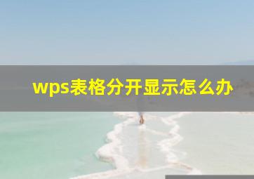 wps表格分开显示怎么办