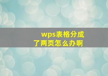 wps表格分成了两页怎么办啊