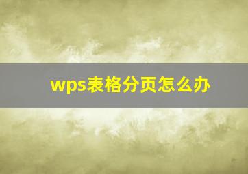 wps表格分页怎么办