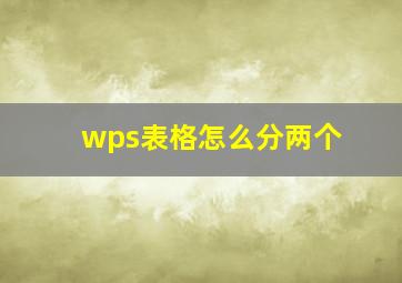 wps表格怎么分两个