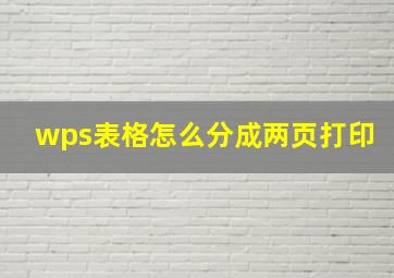 wps表格怎么分成两页打印