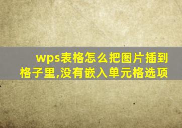 wps表格怎么把图片插到格子里,没有嵌入单元格选项