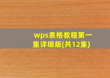 wps表格教程第一集详细版(共12集)