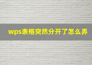 wps表格突然分开了怎么弄