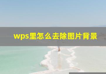 wps里怎么去除图片背景