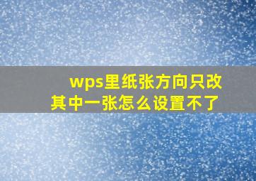 wps里纸张方向只改其中一张怎么设置不了