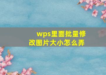 wps里面批量修改图片大小怎么弄