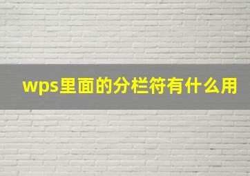 wps里面的分栏符有什么用