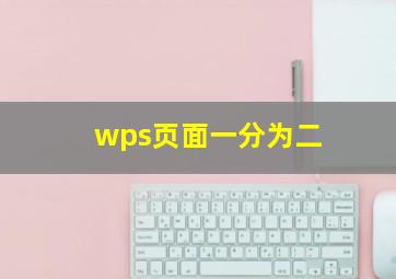 wps页面一分为二