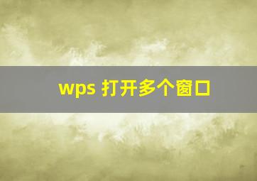 wps 打开多个窗口