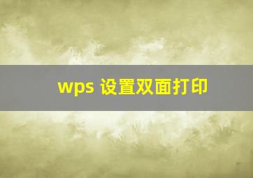 wps 设置双面打印