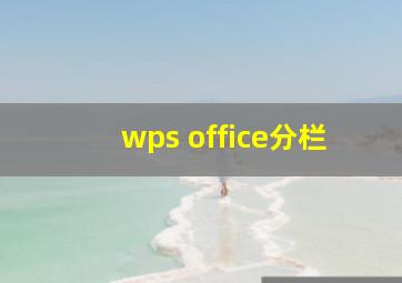 wps office分栏