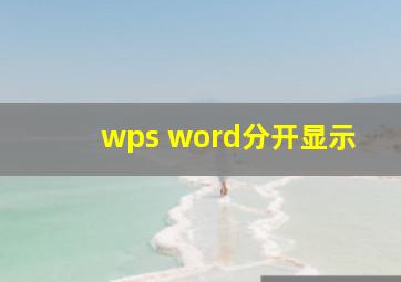 wps word分开显示