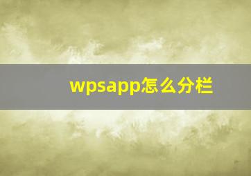 wpsapp怎么分栏