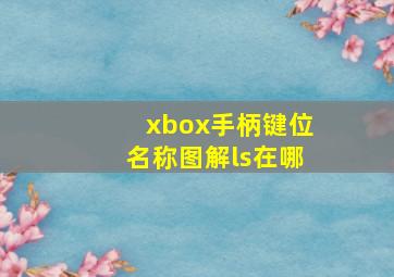 xbox手柄键位名称图解ls在哪