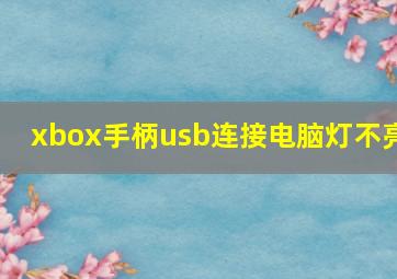 xbox手柄usb连接电脑灯不亮