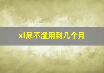 xl尿不湿用到几个月