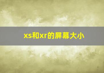 xs和xr的屏幕大小