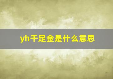 yh千足金是什么意思