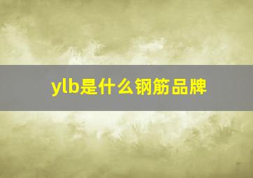 ylb是什么钢筋品牌