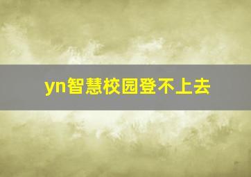 yn智慧校园登不上去