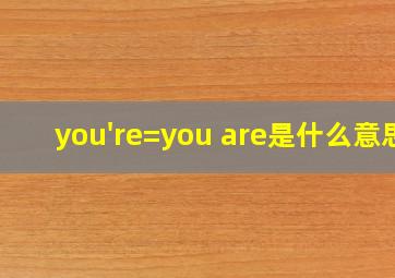 you're=you are是什么意思