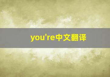 you're中文翻译