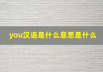 you汉语是什么意思是什么