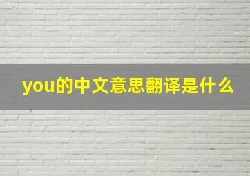 you的中文意思翻译是什么